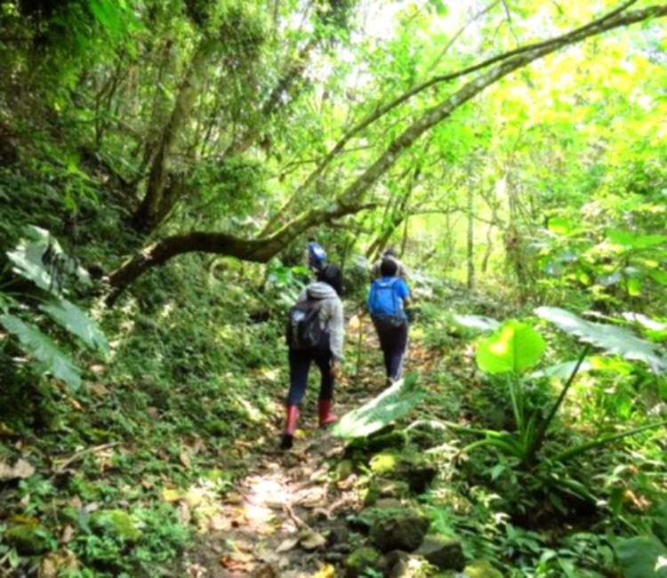 米棧古道 同遊歷史軌跡